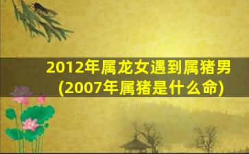 2012年属龙女遇到属猪男