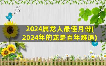 2024属龙人最佳月份(2024年的龙是百年难遇)