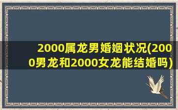 2000属龙男婚姻状况(2000男龙和2000女龙能结婚吗)