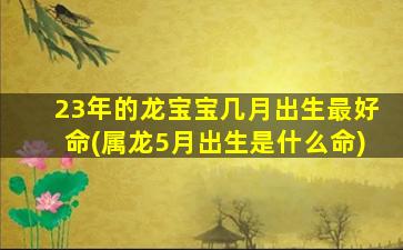 23年的龙宝宝几月出生最好命(属龙5月出生是什么命)