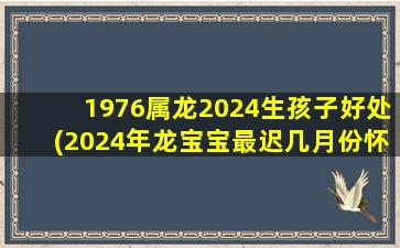 1976属龙2024生孩子好处