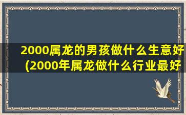 2000属龙的男孩做什么生