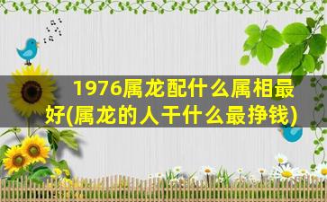 1976属龙配什么属相最好