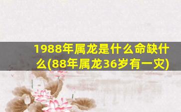 1988年属龙是什么命缺什么(88年属龙36岁有一灾)