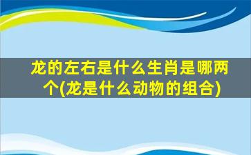 龙的左右是什么生肖是哪两个(龙是什么动物的组合)