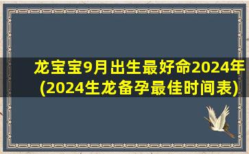 龙宝宝9月出生最好命202