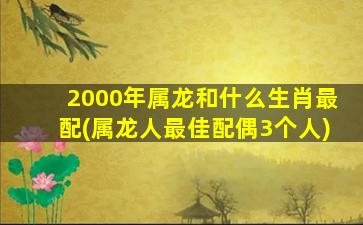 2000年属龙和什么生肖最