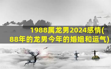 1988属龙男2024感情(88年的龙男今年的婚姻和运气)