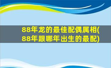 88年龙的最佳配偶属相