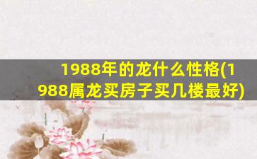 1988年的龙什么性格(198