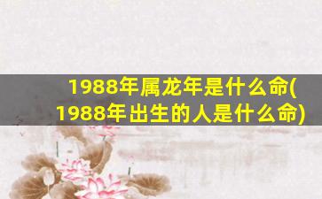 <strong>1988年属龙年是什么命(</strong>