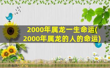 2000年属龙一生命运(200