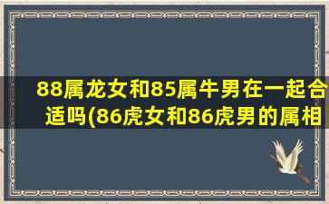 88属龙女和85属牛男在一