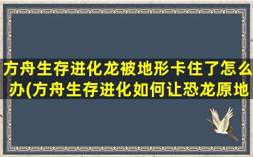 方舟生存进化龙被地形卡住了怎么办(方舟生存进化如何让恐龙原地不动)