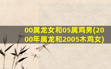 00属龙女和05属鸡男(2000年属龙和2005木鸡女)