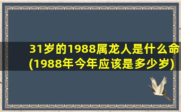 31岁的1988属龙人是什么命(1988年今年应该是多少岁)