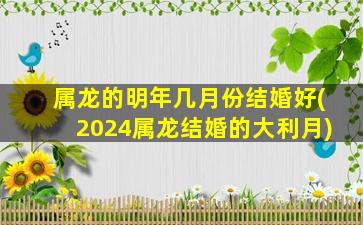 属龙的明年几月份结婚好