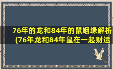 76年的龙和84年的鼠姻缘