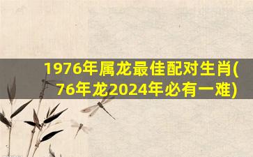 1976年属龙最佳配对生肖(76年龙2024年必有一难)