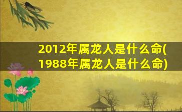 2012年属龙人是什么命(