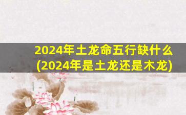 2024年土龙命五行缺什么