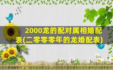 2000龙的配对属相婚配表(二零零零年的龙婚配表)