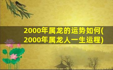 2000年属龙的运势如何(20