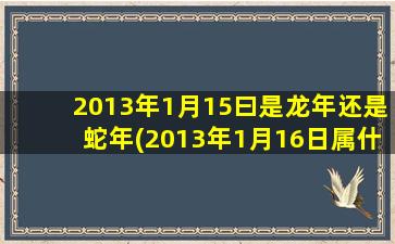 2013年1月15曰是龙年还是蛇年(2013年1月16日属什么)