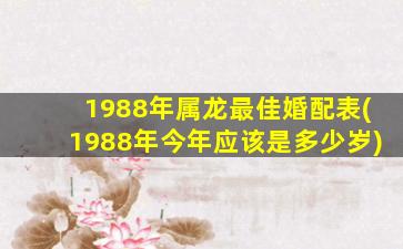 1988年属龙最佳婚配表(19