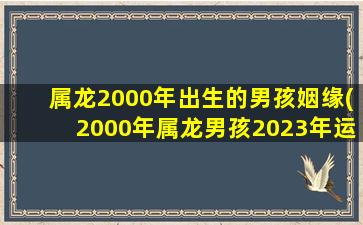 属龙2000年出生的男孩姻