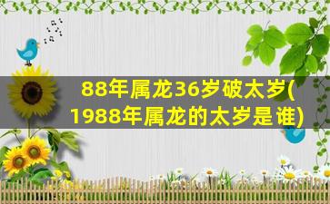 88年属龙36岁破太岁(1988年