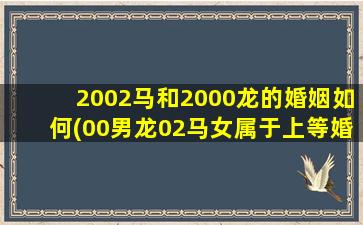 2002马和2000龙的婚姻如何