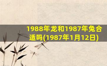 1988年龙和1987年兔合适吗