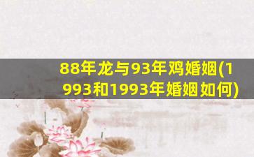 88年龙与93年鸡婚姻(199