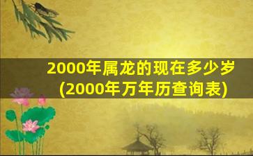 2000年属龙的现在多少岁