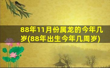 88年11月份属龙的今年几