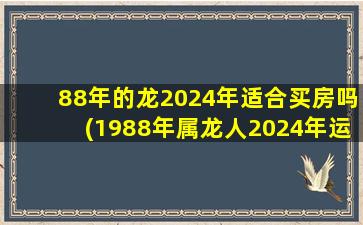 88年的龙2024年适合买房吗