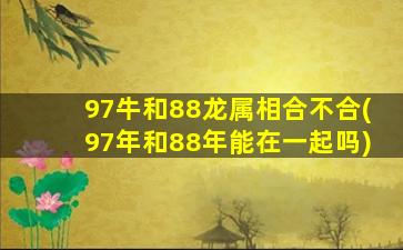 97牛和88龙属相合不合(