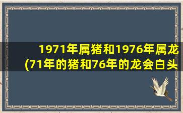 1971年属猪和1976年属龙