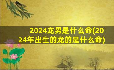 2024龙男是什么命(2024年出