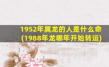 1952年属龙的人是什么命(1988年龙哪年开始转运)