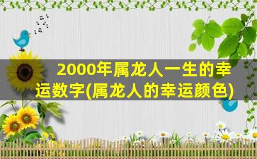 2000年属龙人一生的幸运数字(属龙人的幸运颜色)