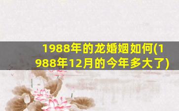 1988年的龙婚姻如何(1988年