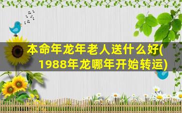 本命年龙年老人送什么好(1988年龙哪年开始转运)