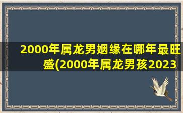 2000年属龙男姻缘在哪年最旺盛(2000年属龙男孩2023年运势)