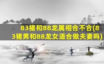 83猪和88龙属相合不合(