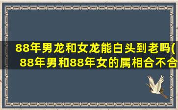 88年男龙和女龙能白头到老吗(88年男和88年女的属相合不合)