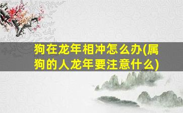 狗在龙年相冲怎么办(属狗的人龙年要注意什么)