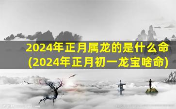 2024年正月属龙的是什么命(2024年正月初一龙宝啥命)