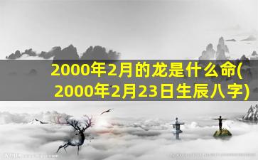 <strong>2000年2月的龙是什么命</strong>